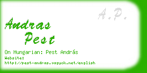 andras pest business card